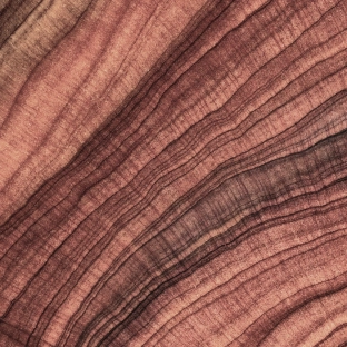 Natural wood grain texture with curved rings in warm brown and tan tones showing tree growth patterns