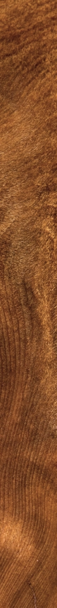 Rustic brown wood grain texture with natural knots and weathered finish for flooring or paneling