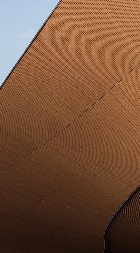 Curved wooden architectural ceiling with warm brown tones and textured grain pattern
